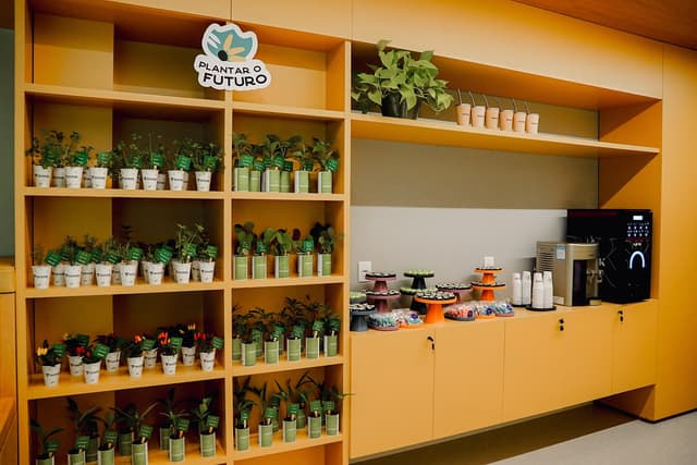 Estante Plantar o Futuro